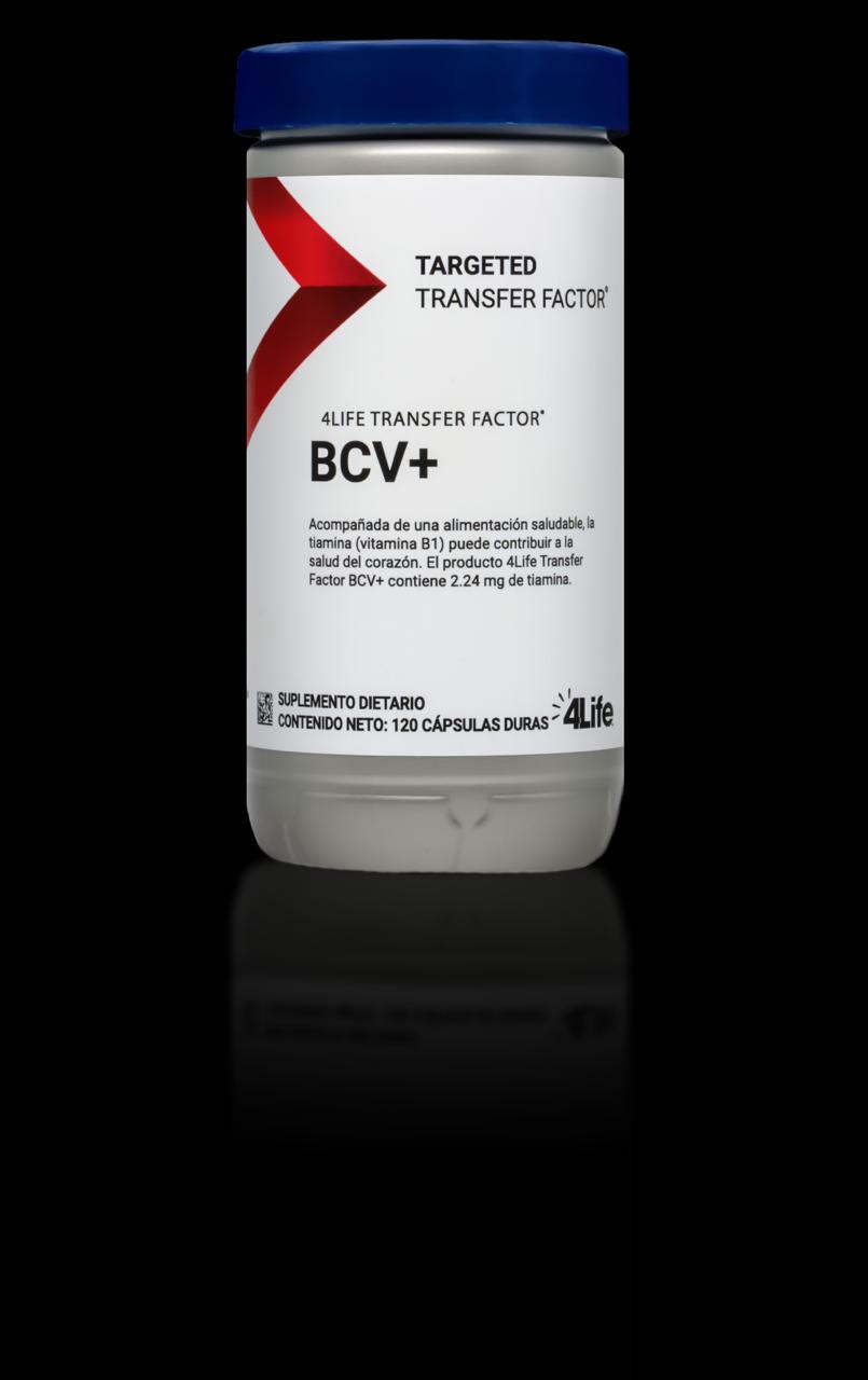 Leather Mens Slipper